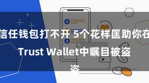 信任钱包打不开 5个花样匡助你在Trust Wallet中瞩目被盗