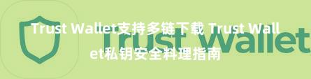 Trust Wallet支持多链下载 Trust Wallet私钥安全料理指南