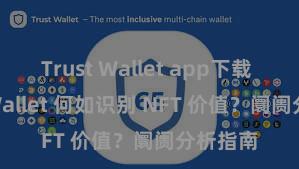 Trust Wallet app下载 Trust Wallet 何如识别 NFT 价值？阛阓分析指南